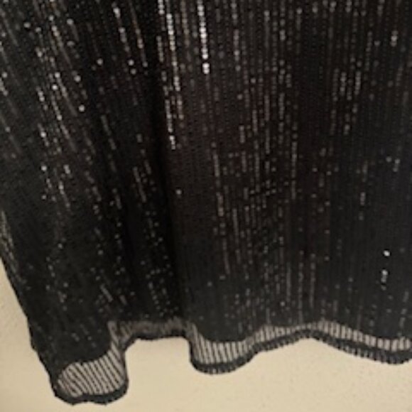 Top de Lentejuelas Negro con Escote en V (Black Sequin V-Neck Sleeveless Top) - Picture 7 of 8